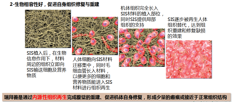 QQ截图20190730163232.png